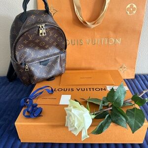 Louis Vuitton Palm Springs BPack PM MNG